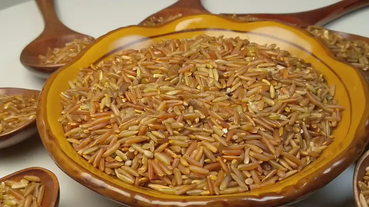 GTV破解版免费版下载安装