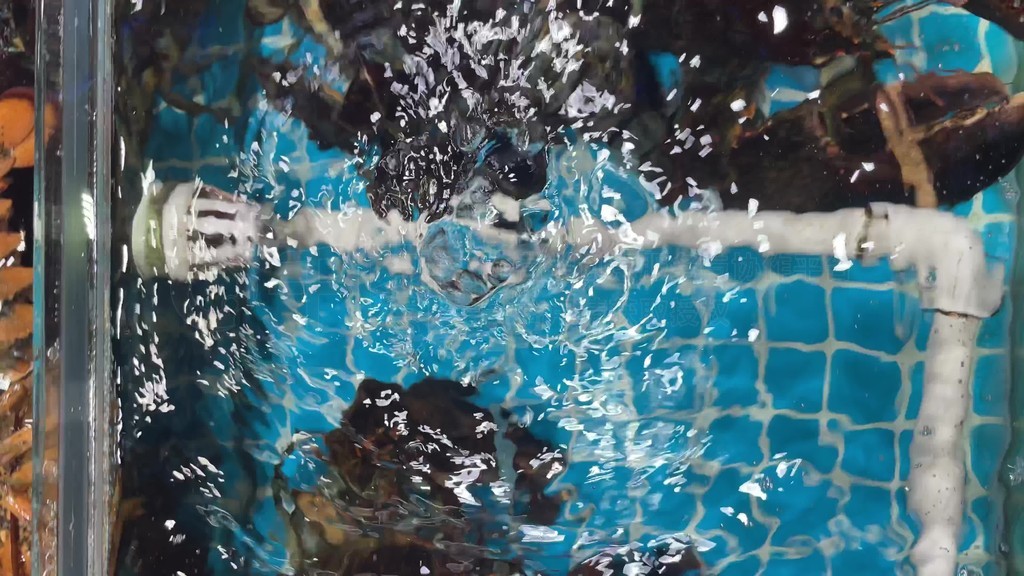 中文字幕人妻互换激情 还带有一丝反思色彩