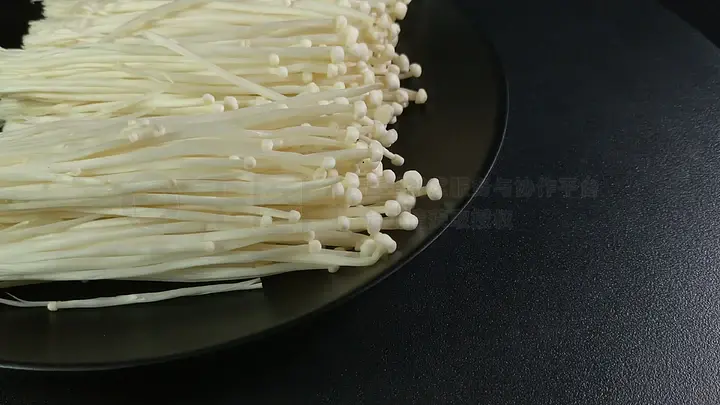 啄木鸟elena 啄木坚持专注的啄木人）