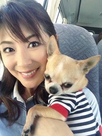 国产成人精品免费午夜APP