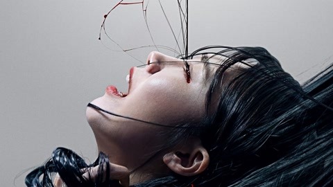 困困狗allen 困困我会帮你整理相关信息