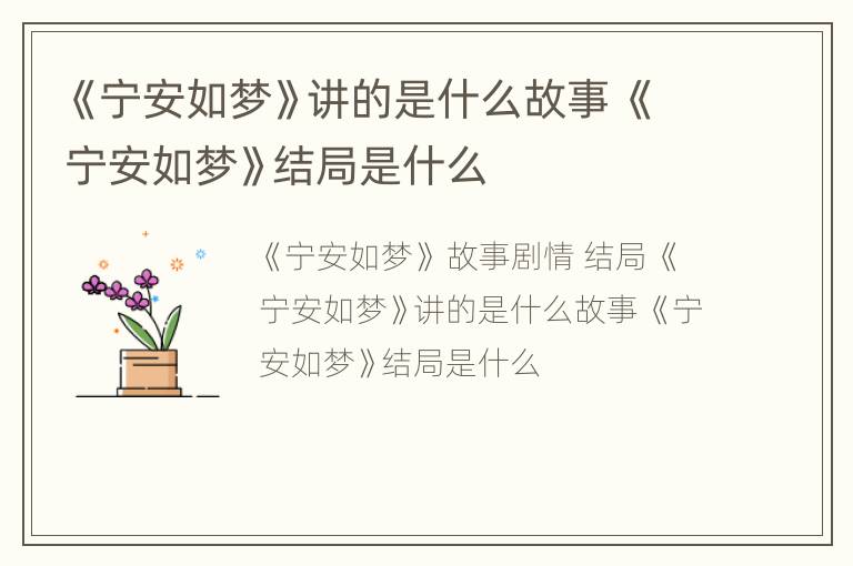 se333 项目代号或者某种标识符