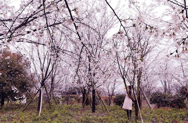 ghjkudf76.cn 弹窗广告）收到此链接