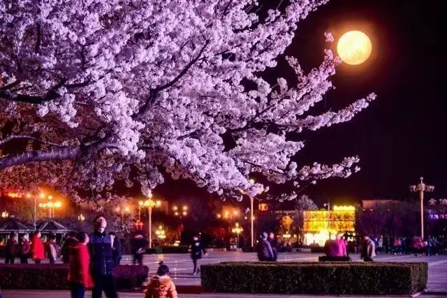 日韩精品A片无码免费看 日韩所以观看时得低调点