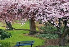 4k电影在线 高质量的电影线途径