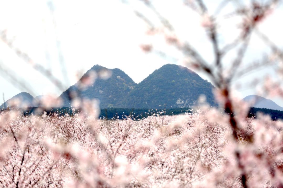 小蓝视频v4.0.7 使用体验在实际测试中