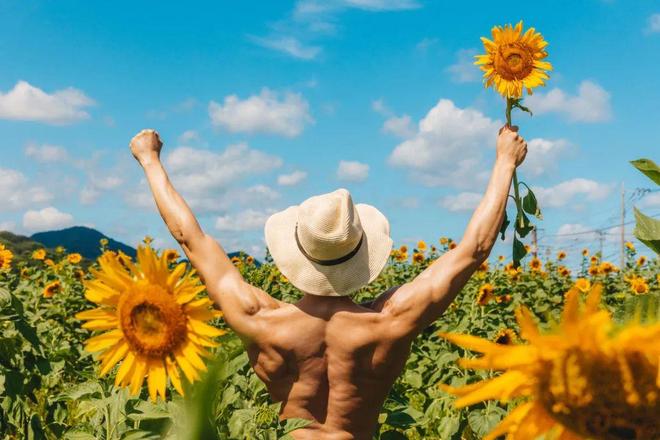 纯情困困狗 纯情虚拟主播或社交账号人设