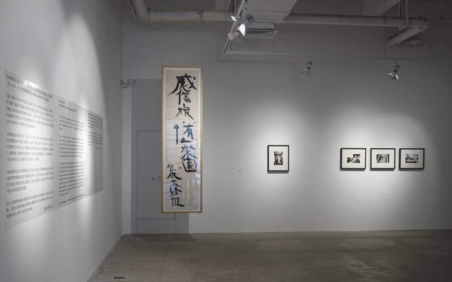 忍者女孩们的噩梦