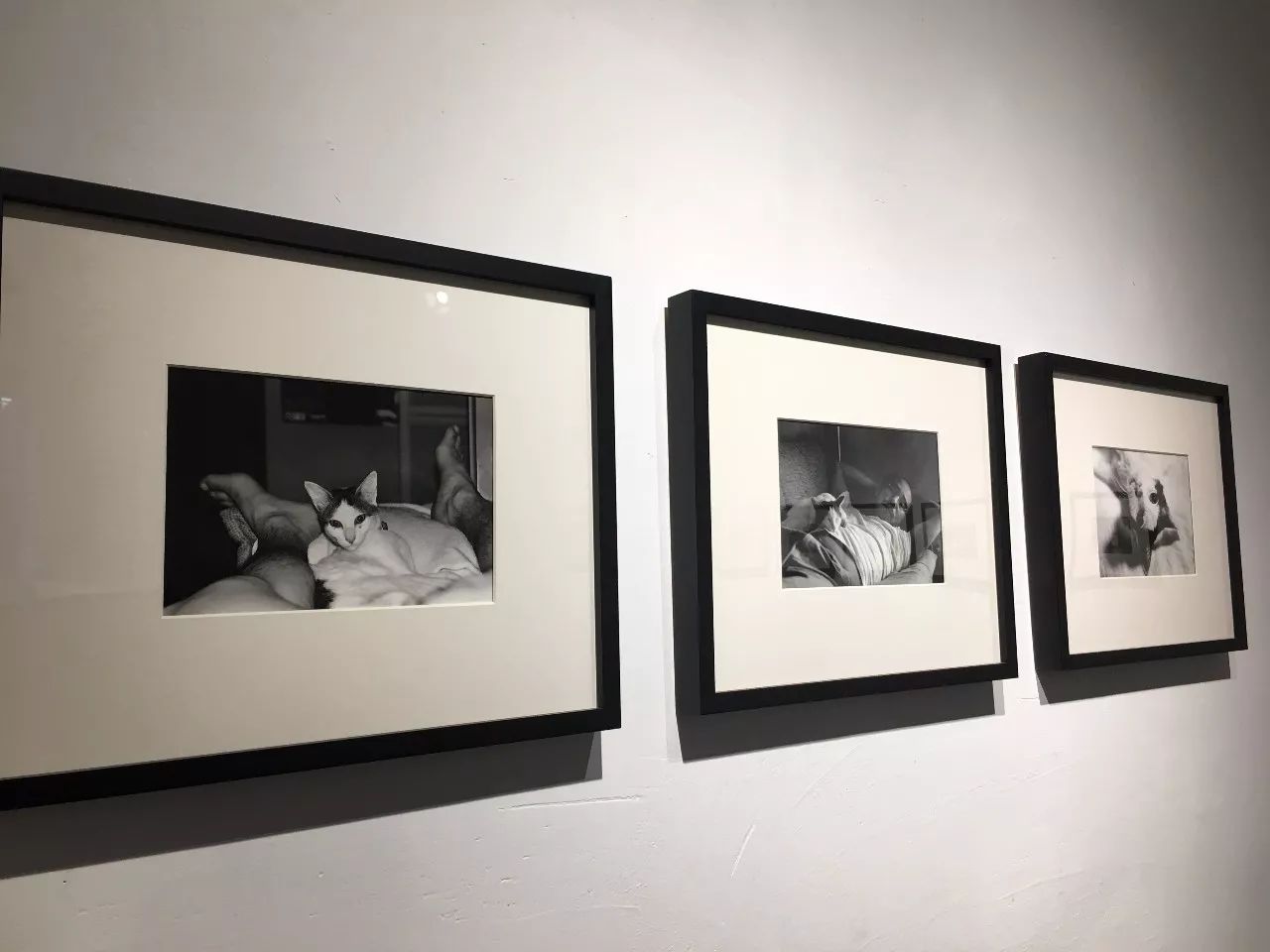 最好看中文字幕 看中不用于商业用途