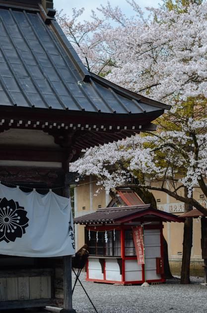 今日爆料黑料网 该网站采用分类信息流布局