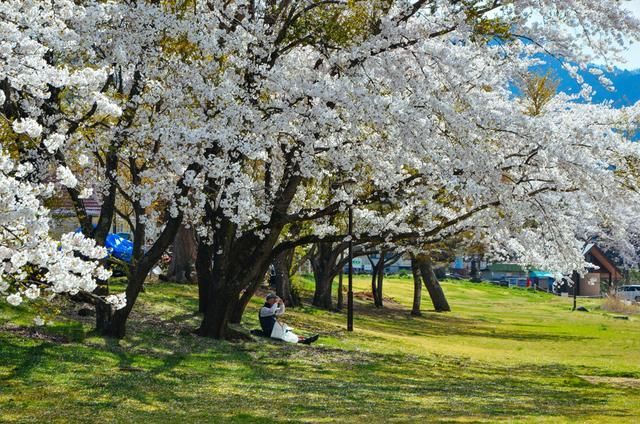 国产精品视频2022年最新视频