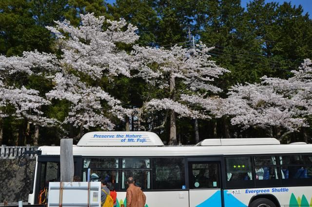 3d动漫专区 漫专尊重创作者版权