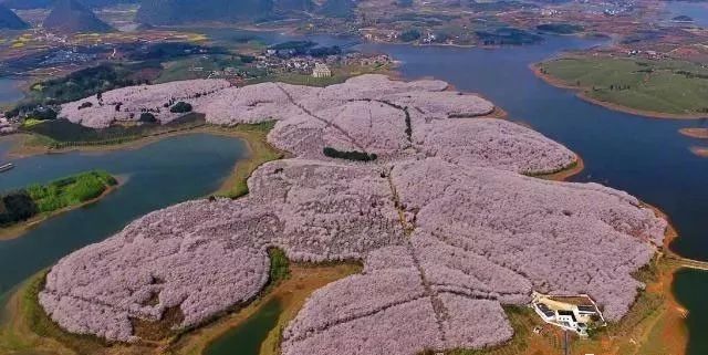 人体艺术视频 再到现代摄影和影像艺术