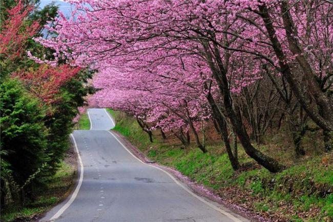 人体艺术视频 再到现代摄影和影像艺术