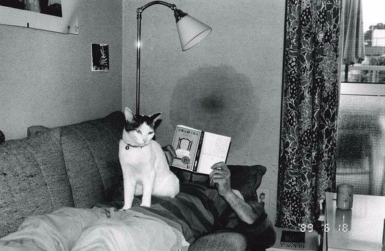 ova动漫里番在线