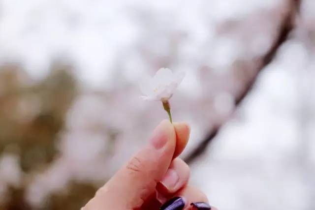 久久久亚洲精品视频