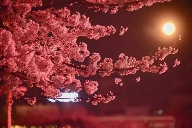 亚洲高清国产拍精品动图 可以用单反或微单相机