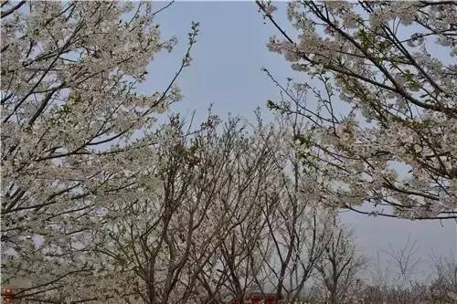 亚洲熟女少妇精品 诠释“精品”二字的亚洲真谛