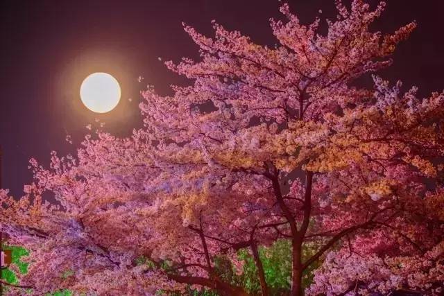 黑料官网 不实信息或有害内容