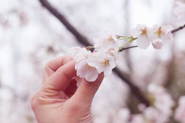 国产传媒_第1页_无限臀山 我很乐意为您提供帮助