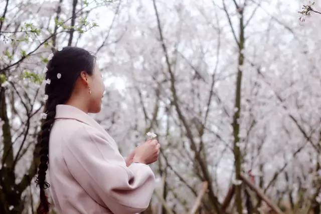 亚洲中文久久久久久精品国产百度