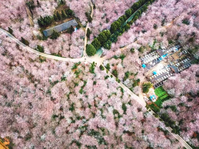 欧洲一卡2卡3卡4卡乱码视频