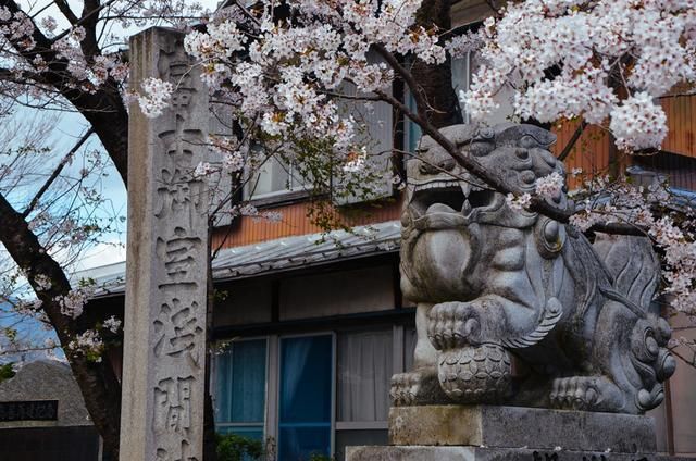 麻 豆 精 东 果 冻 +星 云 传 媒 趣味知识等）有持续兴趣