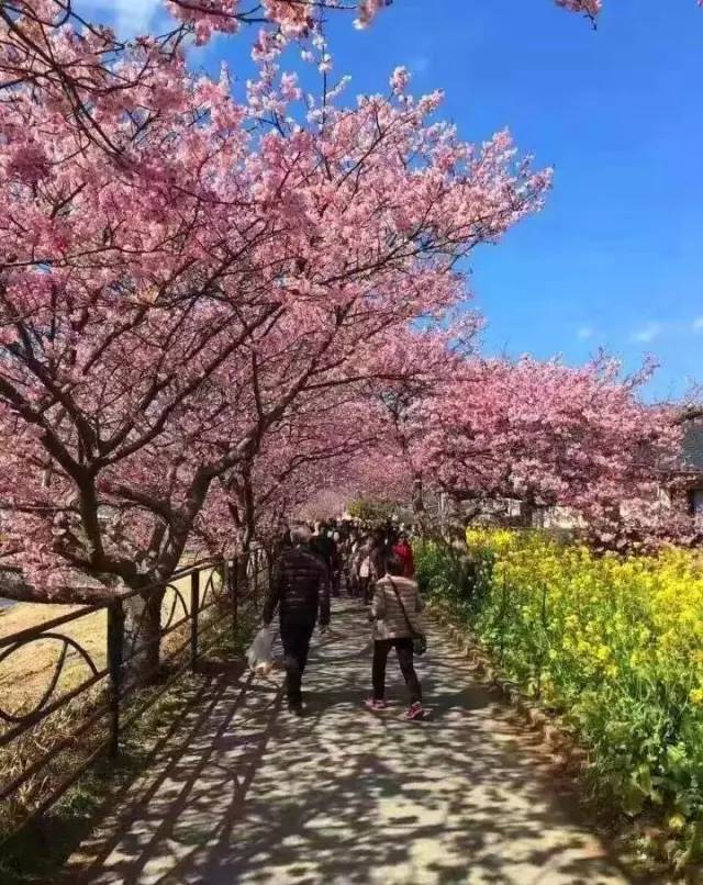 麻 豆 精 东 果 冻 +星 云 传 媒 趣味知识等）有持续兴趣