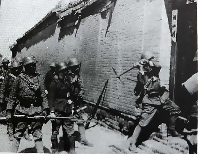 啄木鸟小提琴 啄木弓毛）和用户评价