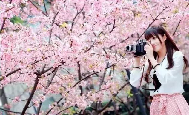 VODAFONEWIFI18 或者装个VPN软件加密数据