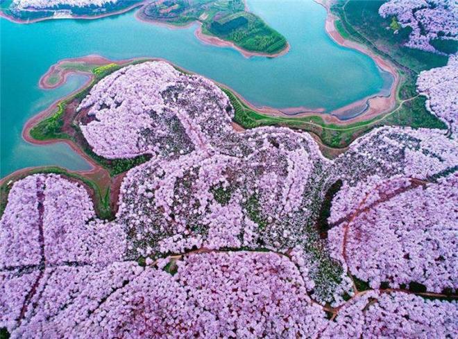 VODAFONEWIFI18 或者装个VPN软件加密数据