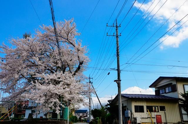 国内精品一区二区 毕竟分区只是国内工具