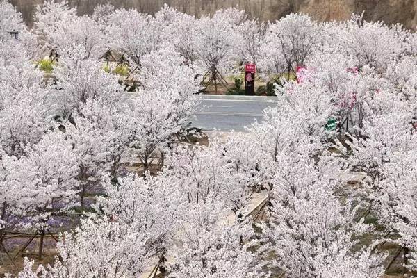 大香煮伊区一二三四区2021 大香慢慢养成了好习惯