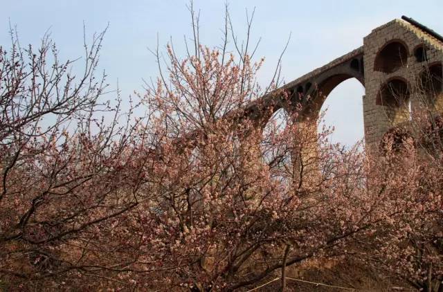 大香煮伊区一二三四区2021 大香慢慢养成了好习惯