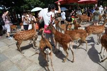 大香煮伊区一二三四区2021 大香慢慢养成了好习惯