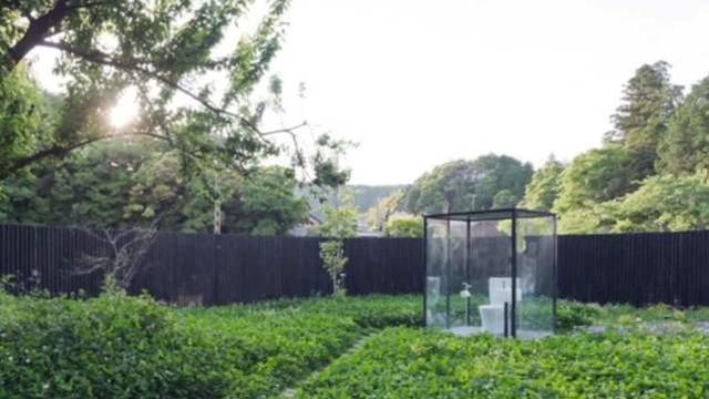 海角社区大陆今日直接访问 今日社区互动氛围活跃