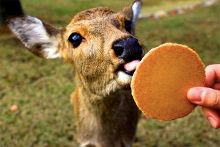 被撞见 那一刻的被撞暴露感