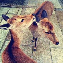 被撞见 那一刻的被撞暴露感