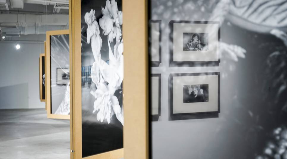 meplastar+同人动画 被称为“Mepla式初音”