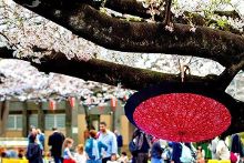 里番 戴套 如果您对性健康有更多疑问