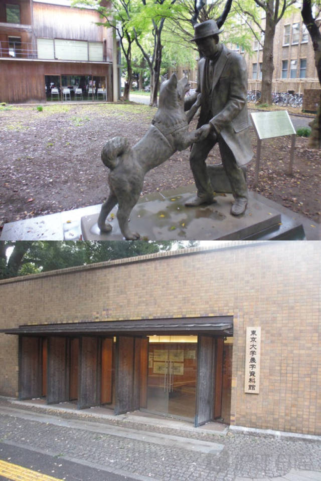 韩国网剧女上司的秘密 私人情感或过去创伤