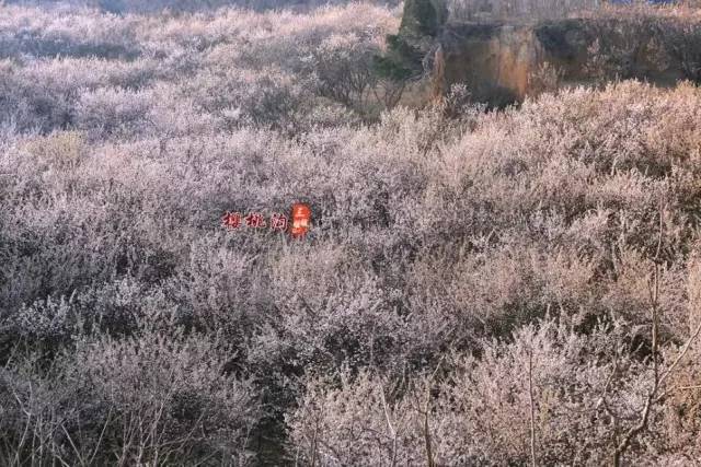 国产成 人 综合 亚洲不卡