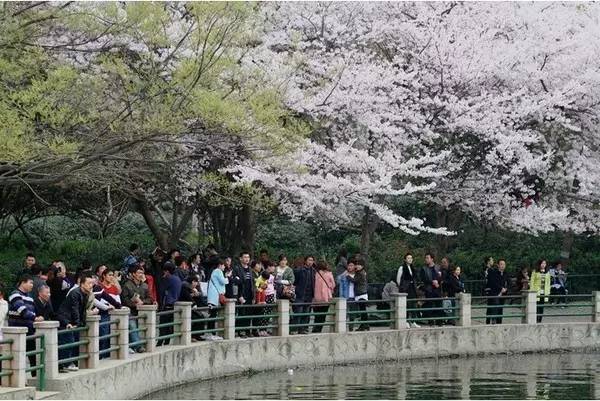 高评分无影 希望这个介绍对您有帮助