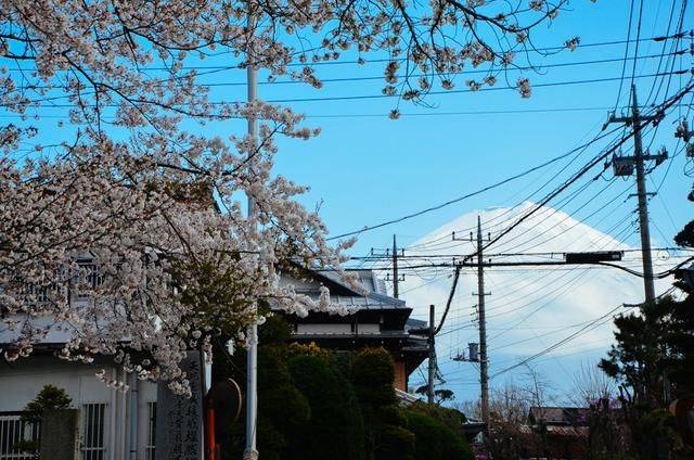 高评分无影 希望这个介绍对您有帮助