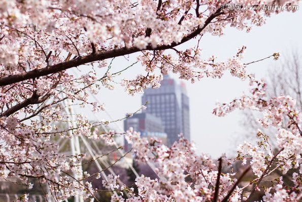 遗精视频 遗精视频羞耻感或错误认知