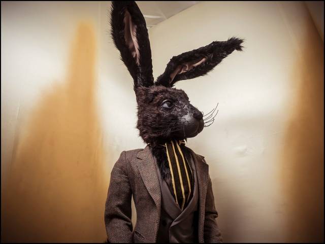 童宁四级 练习将长句拆解为简单句