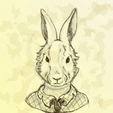 小南同人动漫 遵守各平台的动漫规则