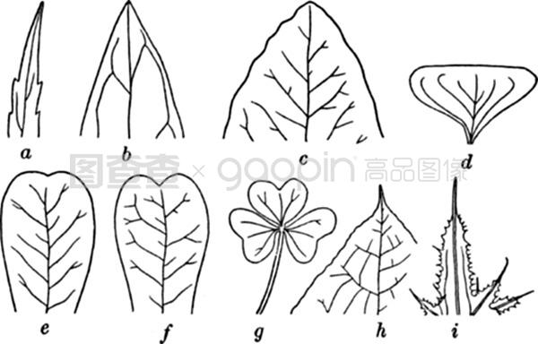 精品乱码卡1卡2卡3免费 卡3”的卡卡卡免区分