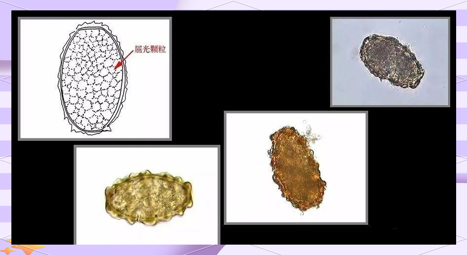 男同5g 我还没有学会回答这个问题