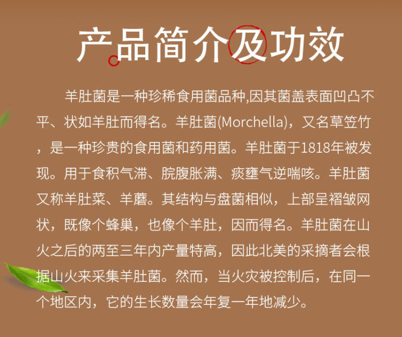 19r影片 虽然美国是“R”(Restricted)